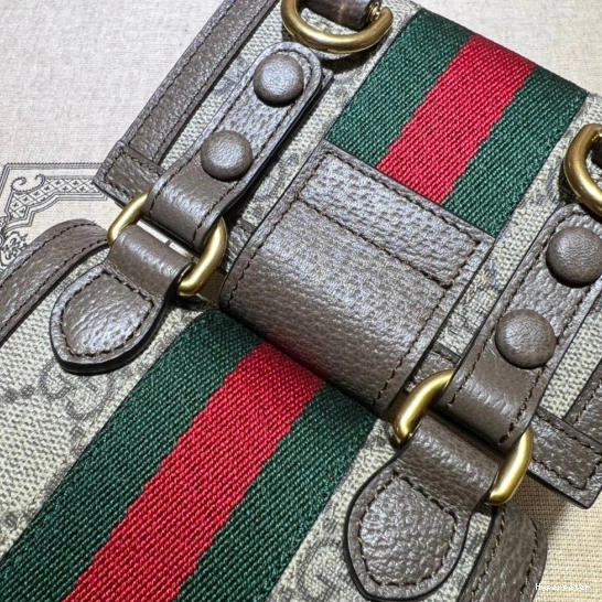 Hyperpeter detachable GUCCI GG wallet Ophidia and bag mini 0810